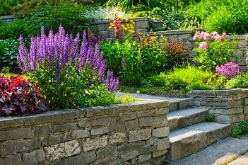 NT Paysagiste Nantes Loire-Atlantique 44 beau jardin Vertou Saint Herblain Saint Nazaire