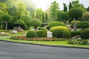 NT Paysagiste Nantes Loire-Atlantique 44 elagage entretien jardins saint nazaire la baule